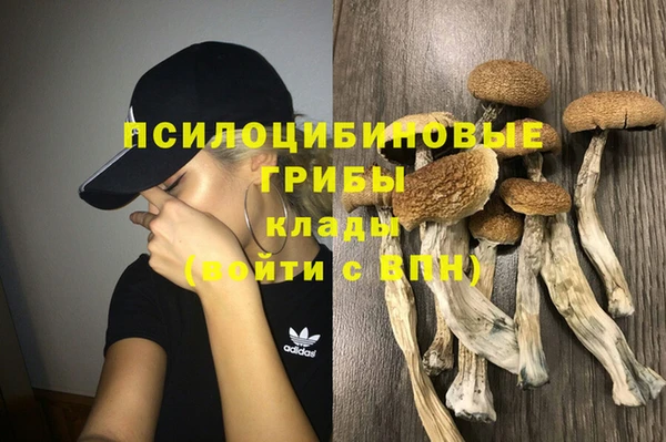 PSILOCYBIN Инсар