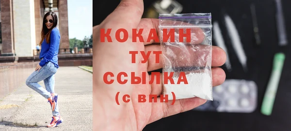шишки Армянск