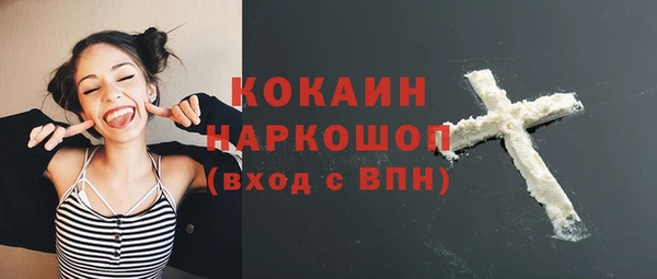 шишки Армянск