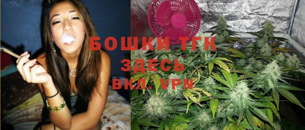 твердый Аркадак