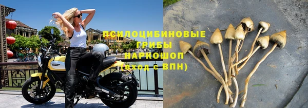 шишки Армянск
