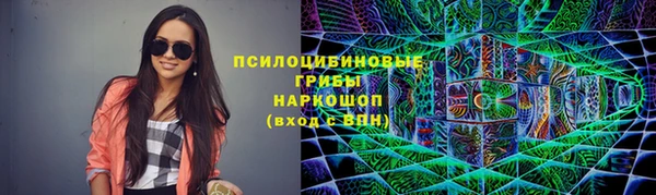 PSILOCYBIN Арсеньев