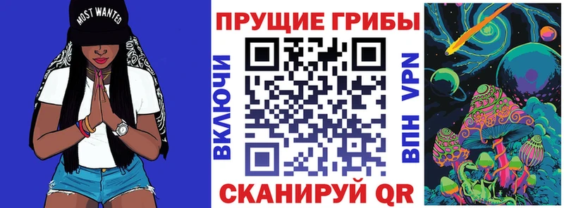 МЕГА зеркало  Мураши  Псилоцибиновые грибы Psilocybine cubensis 